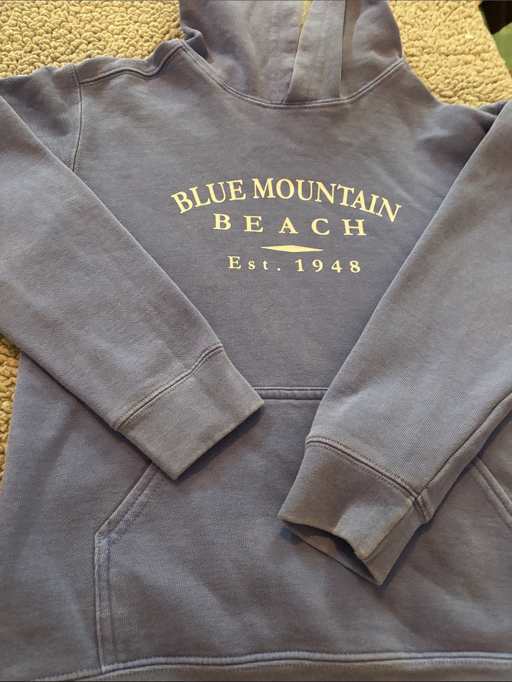 Blue Mountain Beach Hoodie Sweatshirt